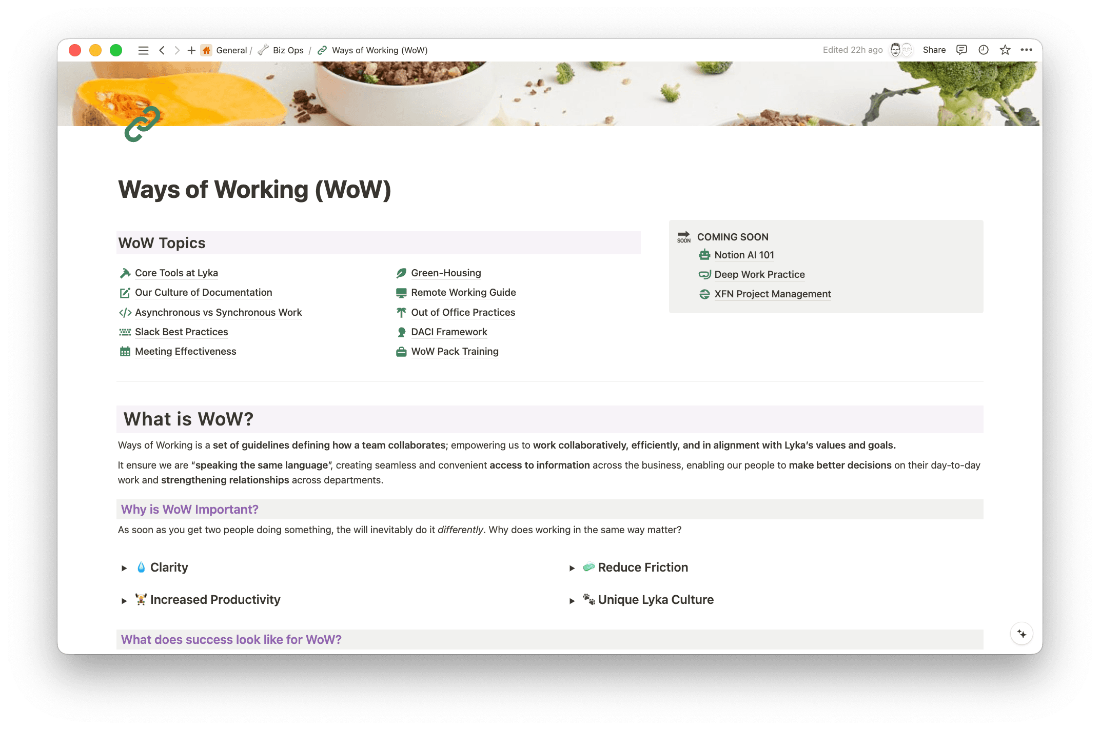 As a part of transitioning everyone on to the same tool, Lauren created Lyka's first Ways of Working guidelines to define how teams should be using Notion and collaborating together overall. This ensured everyone was “speaking the same language”, creating seamless access to information, enabling efficiency in day-to-day work, and strengthening relationships across departments.